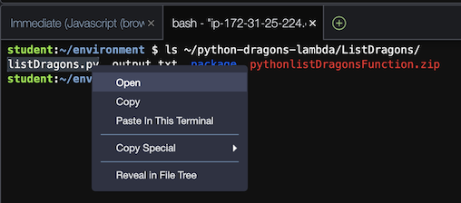 Open option in the menu for listDragons.py